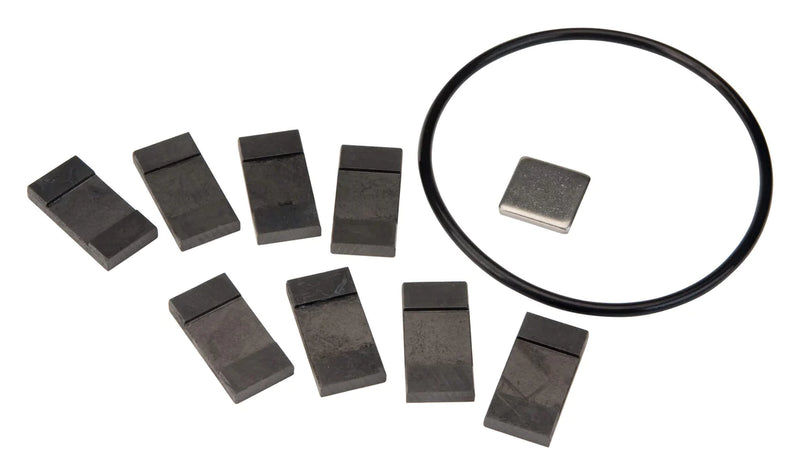 GPI REPLACEMENT CARBON VANE KIT FOR GPRO PRO20 SERIES FUEL TRANSFER PUMP 133501-1